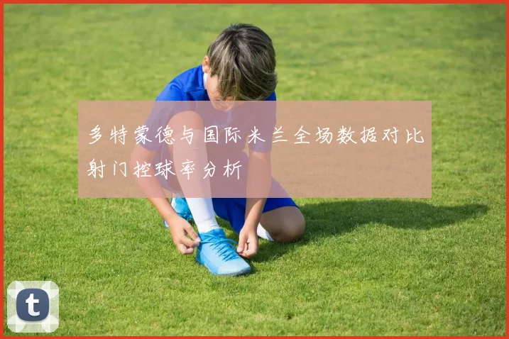 多特蒙德与国际米兰全场数据对比射门控球率分析